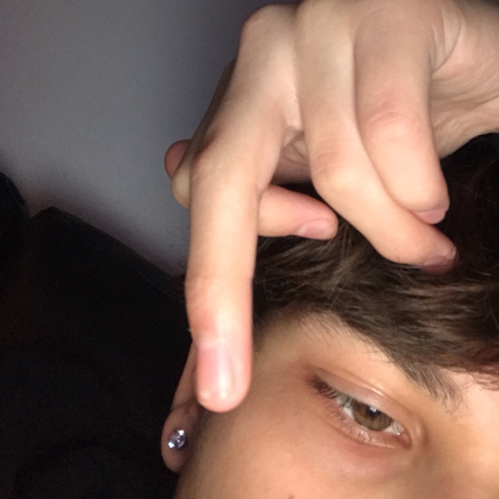 Meet your Posher, Sammy